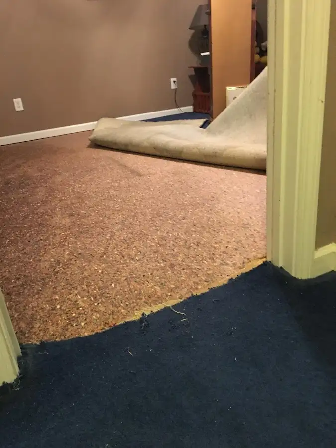 Carpet pad removal revealing water damage during Water Mitigation Services in Auburn