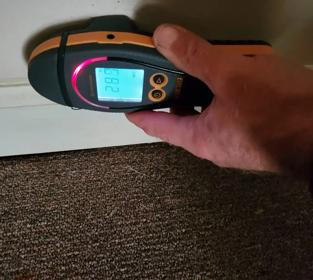 Moisture detection at baseboard during Sewage Cleanup & Sanitation in Auburn